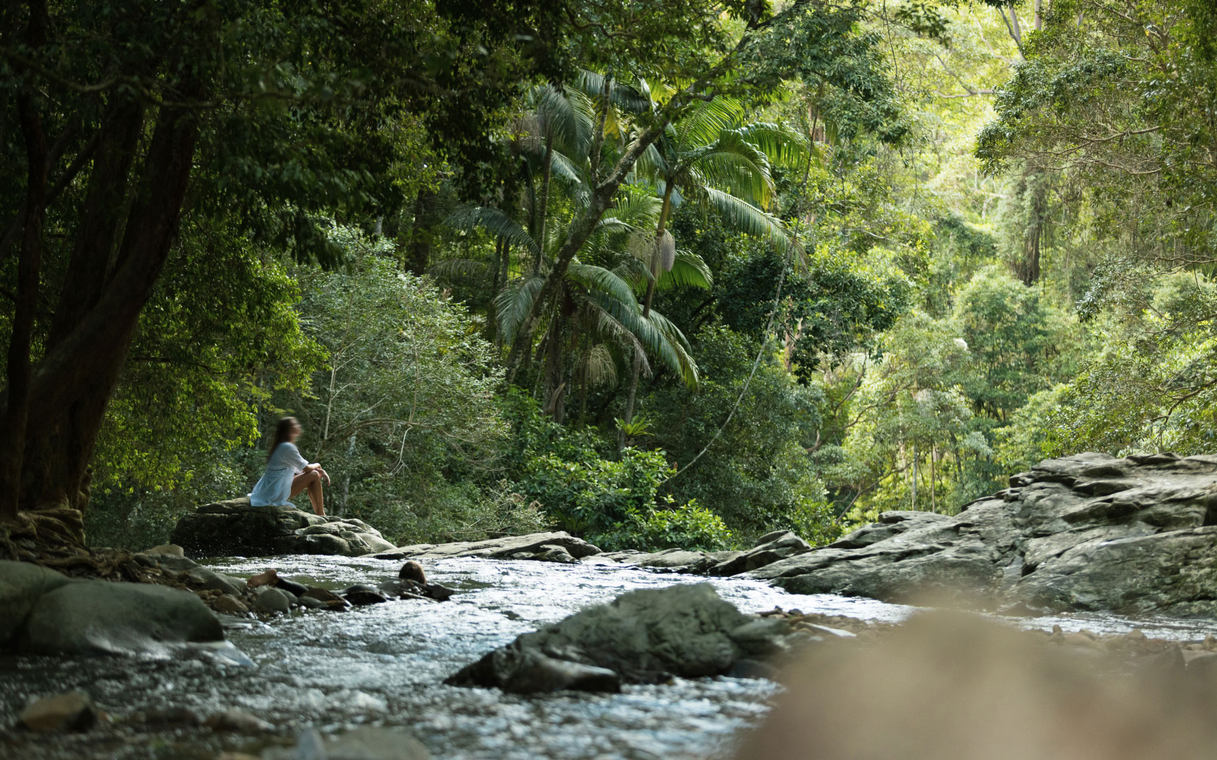 SandS_Radia_Currumbin-Rocks-Web-Image